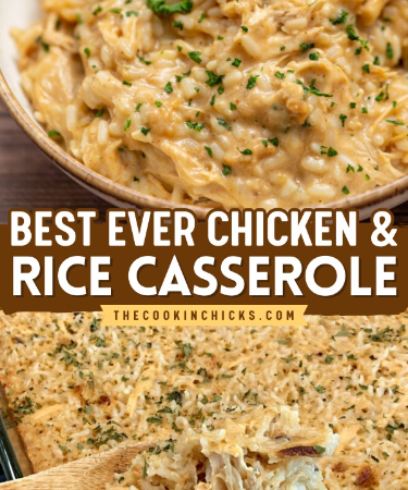 rotisserie chicken and rice recipes easy