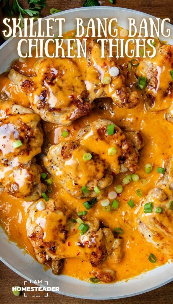 spanish chicken thighs