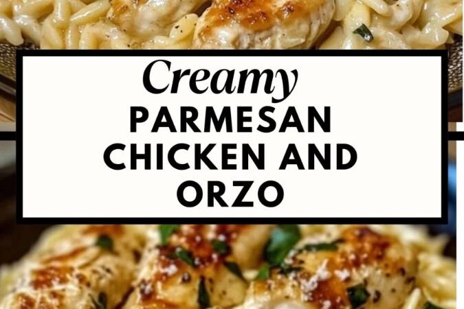 creamy orzo recipe