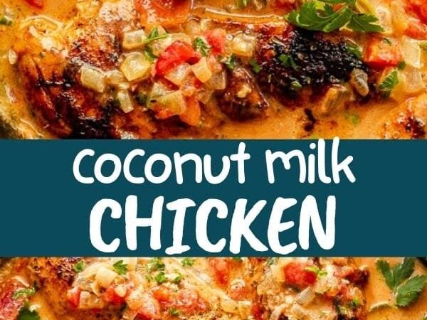 coconut milk chicken curry recipe