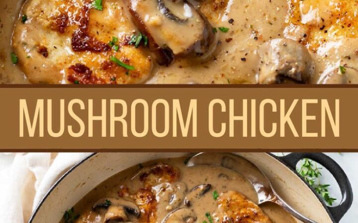 creamy mushroom chicken recipe