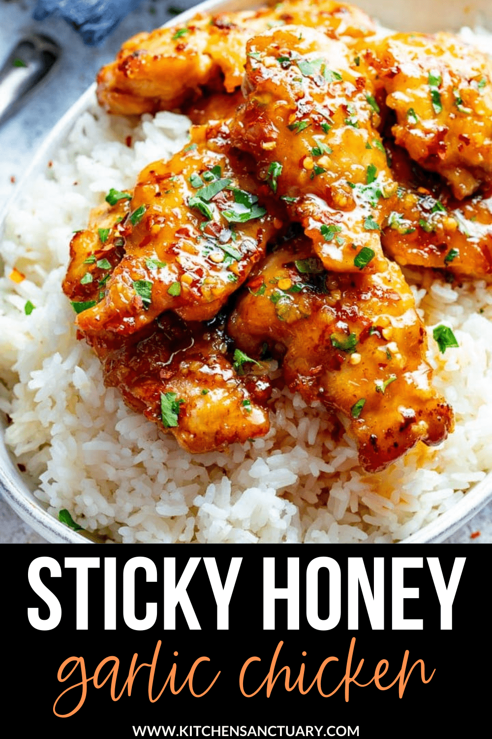 Sticky Honey Garlic Chicken with Rice