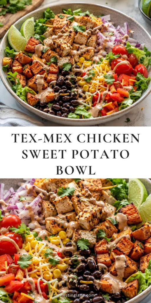 tex-mex chicken sweet potato bowl