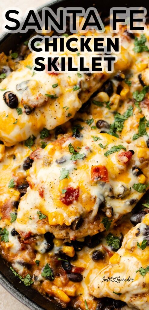 santa fe chicken skillet