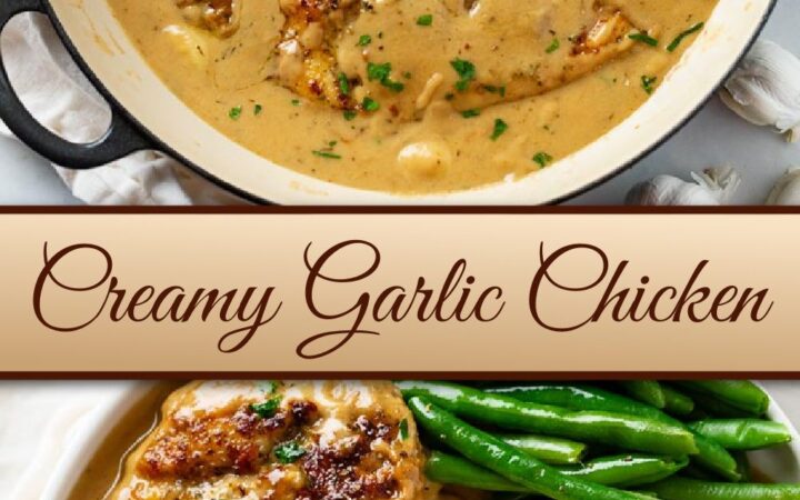 creamy garlic chicken recipe