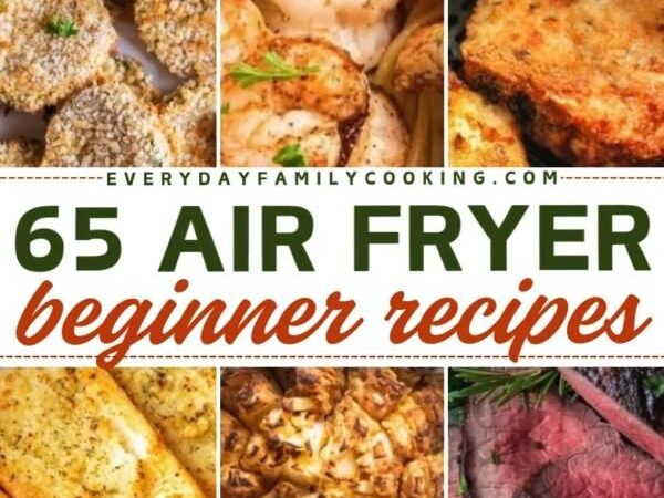 air fryer recipes for beginners